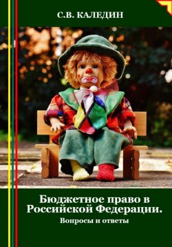 Книга "Бюджетное право в Российской Федерации. Вопросы и ответы" – Сергей Каледин, 2024