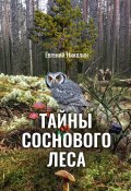 Тайны соснового леса (Евгений Николин, 2024)