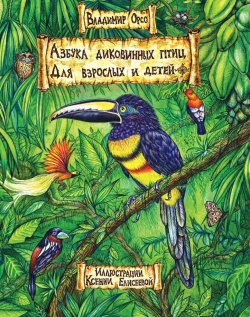 Книга "Азбука диковинных птиц. Для взрослых и детей" – Владимир Орсо, 2024
