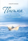 Письма в Небеса обетованные. Протоиерею Николаю Агафонову, священнику и писателю, наставнику и другу (Алексей Солоницын, 2024)