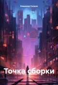 Точка сборки (Владимир Гилясев, 2024)