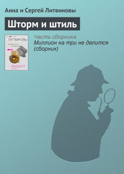 Книга "Шторм и штиль" – Анна и Сергей Литвиновы, 2002