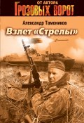 Книга "Взлет «Стрелы»" (Александр Тамоников, 2006)