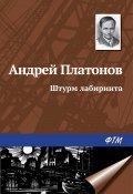 Штурм лабиринта (Андрей Платонов, 1945)