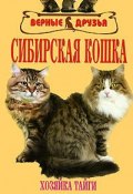 Сибирская кошка (Андрей Беляченко)