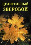 Книга "Целительный зверобой" (Иван Дубровин, 2006)