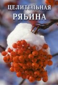 Книга "Целительная рябина" (Иван Дубровин, 2006)