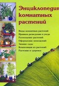 Энциклопедия комнатных растений (Наталья Шешко, Наталья Логачева)
