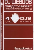 Диджей: Играющий в темноте (DJ Шевцов, DJ Шмель , ещё 2 автора, 2010)