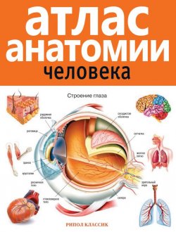 Книга "Атлас анатомии человека" – , 2014