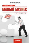 Малый бизнес: с чего начать, как преуспеть (Артем Медведев, 2011)