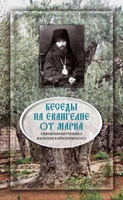 Книга "Беседы на Евангелие от Марка" – Священномученик Василий Кинешемский, 2010