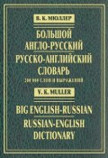 Большой англо-русский и русско-английский словарь. 200 000 слов и выражений (В. К. Мюллер, 2007)