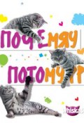 Почемяу? Потомурр! Книга о кошках в вопросах и ответах (, 2010)