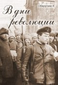 В дни революции (Константин Оберучев, 1919)