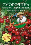 Книга "Смородина. Сажаем, выращиваем, заготавливаем" (Николай Звонарев, 2011)