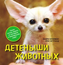 Книга "Детеныши животных" – Эндрю Блэйман, 2011
