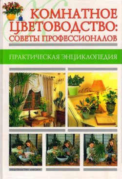 Книга "Комнатное цветоводство: советы профессионалов" – Мария Цветкова