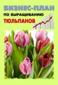 Бизнес-план по выращиванию тюльпанов (А. Бруйло, Павел Шешко, 2011)