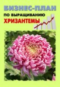 Бизнес-план по выращиванию хризантемы (А. Бруйло, Павел Шешко, 2011)