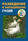 Разведение и выращивание гусей (Илья Мельников, Александр Ханников, 2012)
