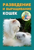 Разведение и выращивание кошек (Илья Мельников, Александр Ханников, 2012)