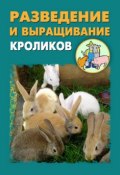Разведение и выращивание кроликов (Илья Мельников, Александр Ханников, 2012)