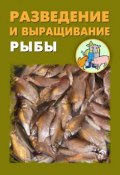Разведение и выращивание рыбы (Илья Мельников, Александр Ханников, 2012)