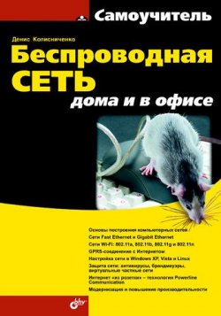 Книга "Беспроводная сеть дома и в офисе" – Денис Колисниченко, 2009