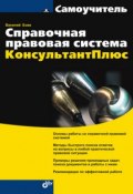 Справочная правовая система КонсультантПлюс (В. Д. Боев, 2006)