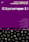 Наглядный самоучитель 1C:Бухгалтерия 8.1 (Александр Жадаев, 2009)