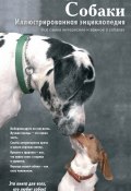 Собаки. Иллюстрированная энциклопедия (Наталья Онищенко, 2012)