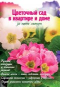 Цветочный сад в квартире и доме за пять минут (Наталья Власова, 2012)