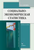 Книга "Социально-экономическая статистика" (И. А. Мухина, 2017)