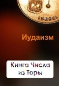 Книга "Книга Числа из Торы" (Илья Мельников, 2012)
