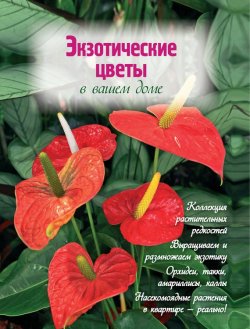 Книга "Экзотические цветы в вашем доме" – Наталья Власова, 2012