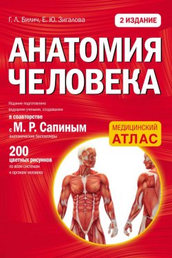Книга "Анатомия человека" {Медицинский атлас} – Г. Л. Билич, 2016