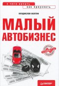Малый автобизнес: с чего начать, как преуспеть (Владислав Волгин, 2012)