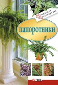 Книга "Папоротники" (Сборник, 2007)