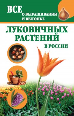 Книга "Все о выращивании и выгонке луковичных растений в России" – Татьяна Литвинова, 2012