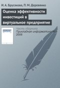 Книга "Оценка эффективности инвестиций в виртуальное предприятие" (И. А. Брусакова, 2006)