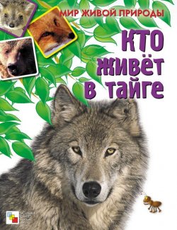 Книга "Кто живет в тайге" {Мир живой природы} – Е. Краснушкина, 2010