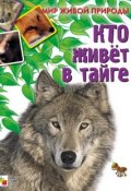 Книга "Кто живет в тайге" (Е. Краснушкина, 2010)