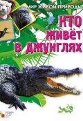 Книга "Кто живет в джунглях" (Е. Краснушкина, 2010)