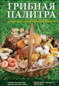 Грибная палитра. Карманный справочник-определитель (Т. А. Ильина, 2013)