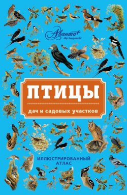 Книга "Птицы дач и садовых участков" – В. Г. Бабенко, 2012