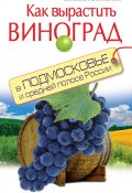 Как вырастить виноград в Подмосковье и средней полосе России (Татьяна Литвинова, 2012)
