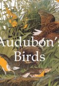 Audubon\'s Birds (John James Audubon)