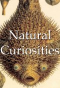 Natural Curiosities (Victoria Charles)