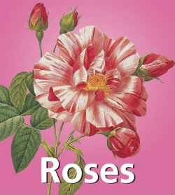 Книга "Roses" {Mega Square} – Victoria Charles